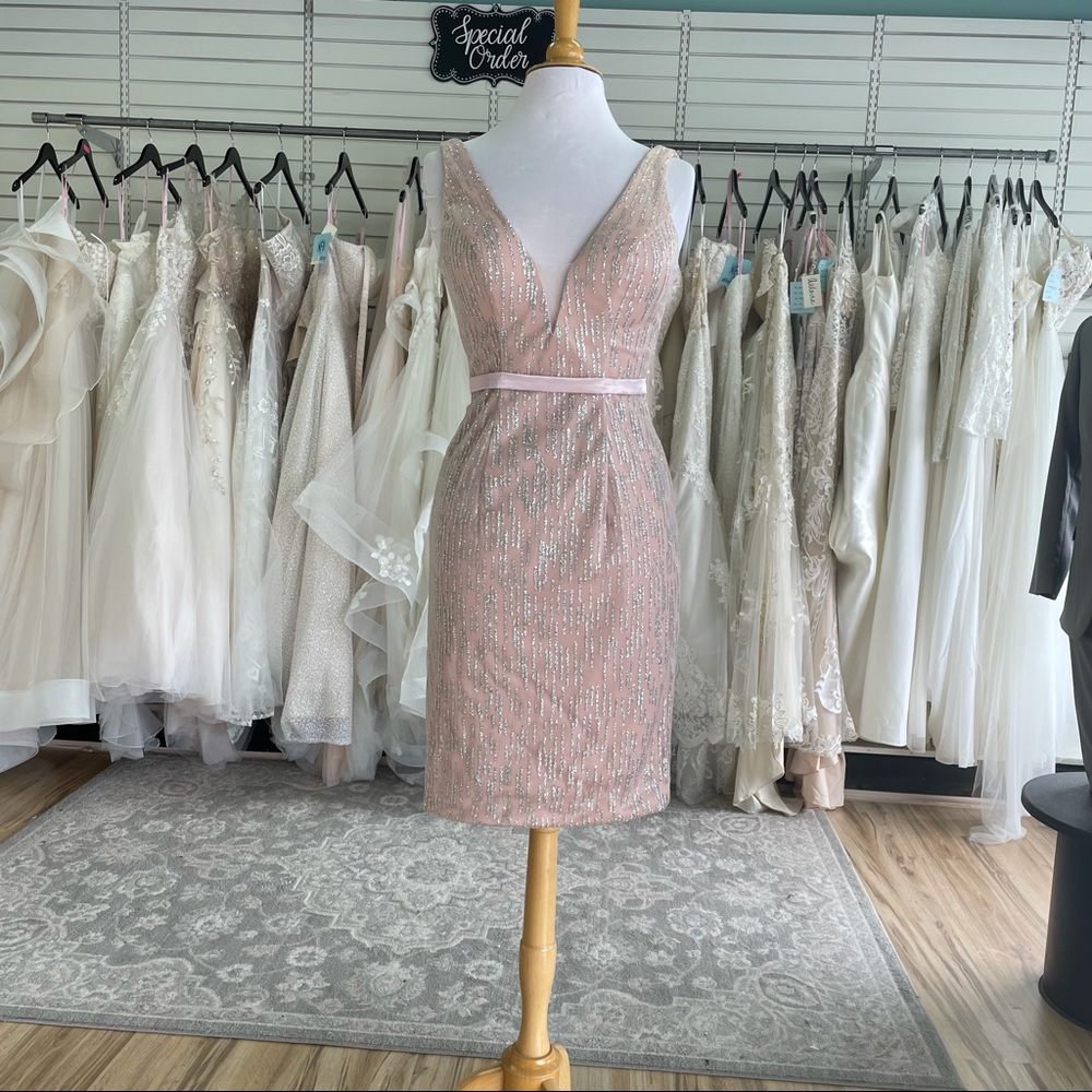 Pink and Silver Glitter Dress